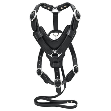 Large Leather Dog Harness Black Padded Genuine Matching Leash Hilason